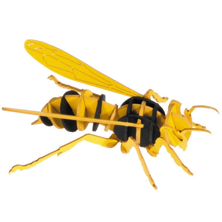 3D Papiermodell Hornisse