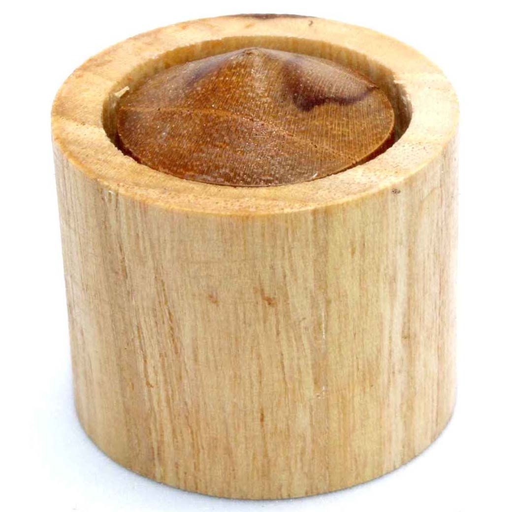 Leonardo's Mind Puzzles: Turbine