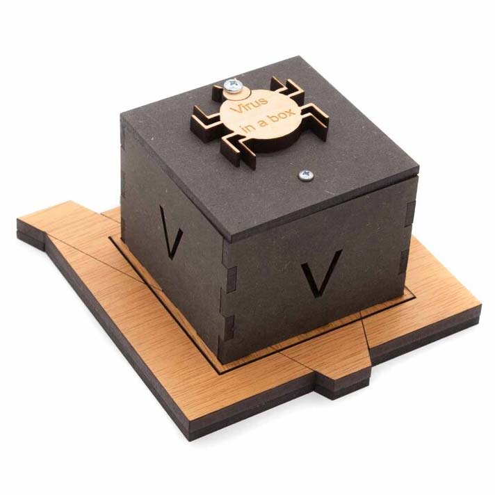 Virus in the Box