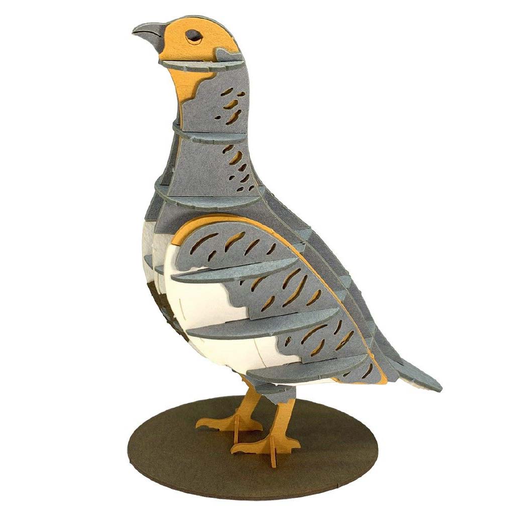 3D Papiermodell Rebhuhn
