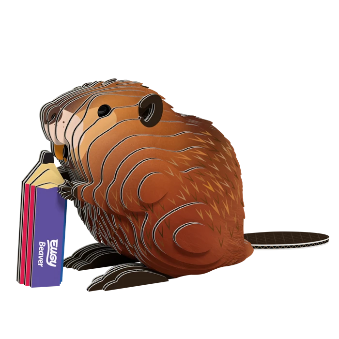 Dodoland Eugy: Biber