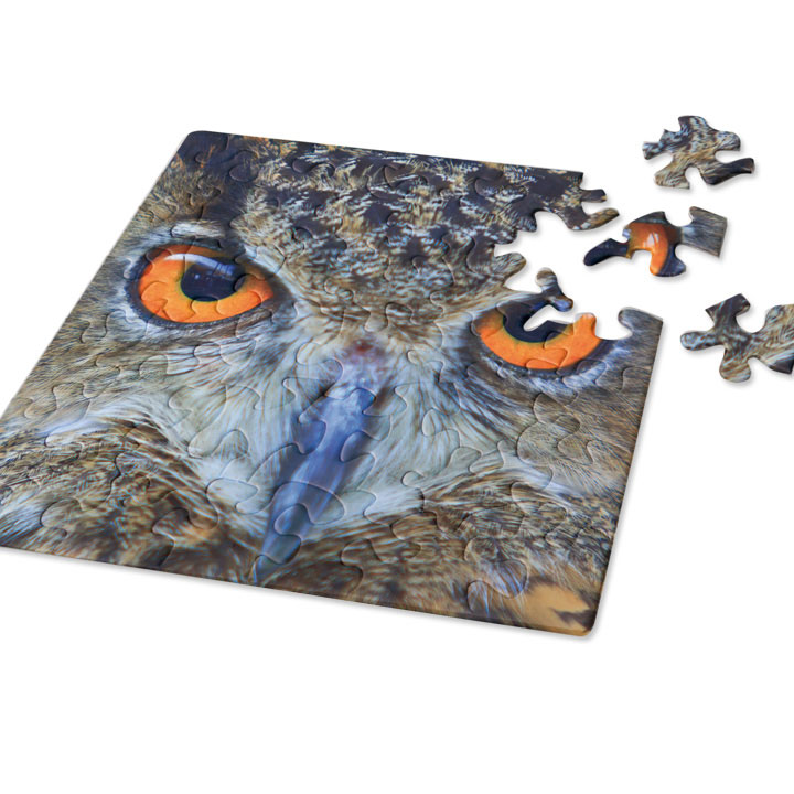 Puzzle Q "Animal-04: Eule"