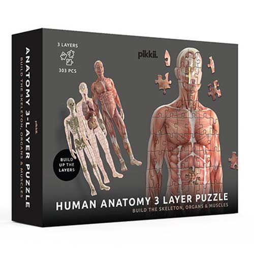 Human Anatomy 3 Layer Puzzle