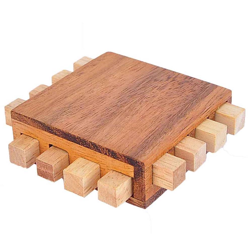 Leonardo's Mind Puzzles: Chip