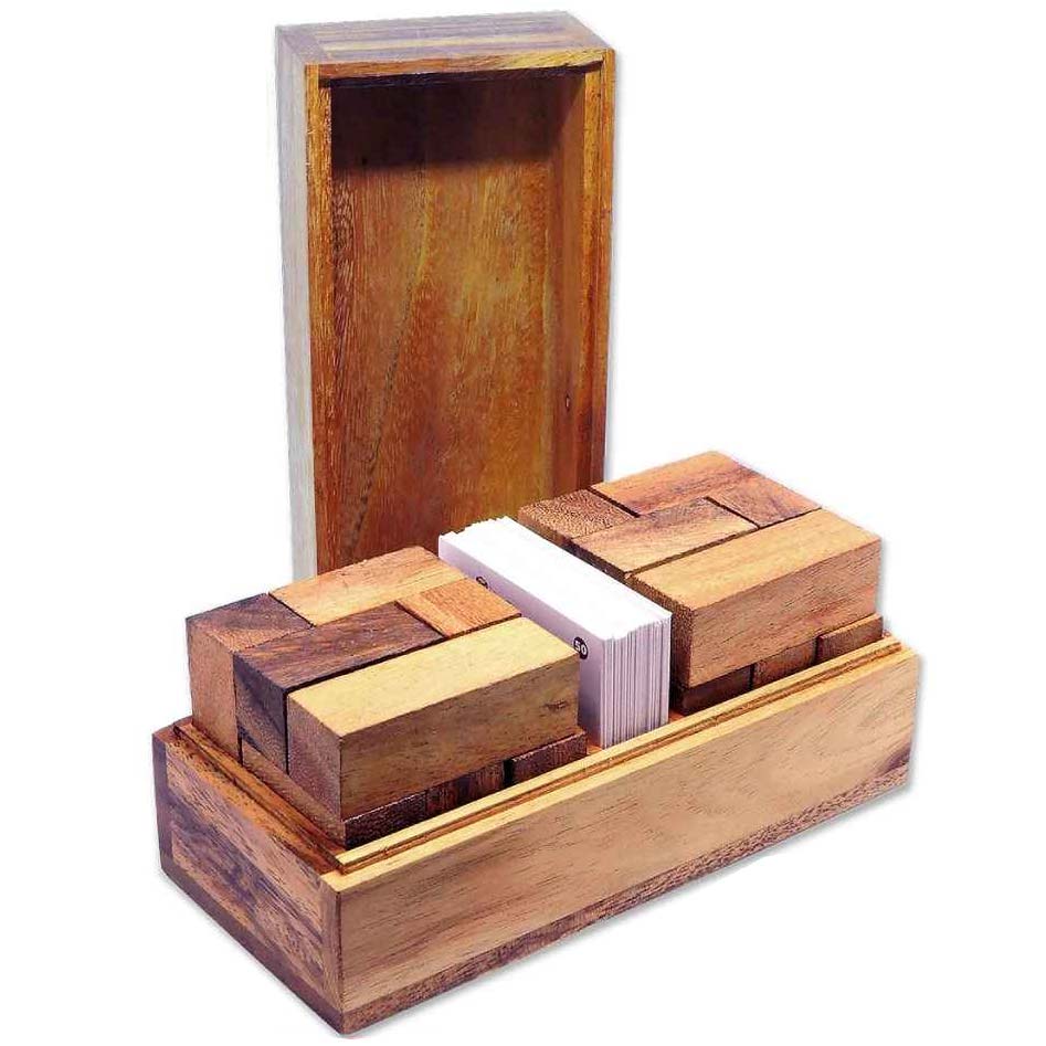 Leonardo's Mind Puzzles: Doppel-Soma 3D