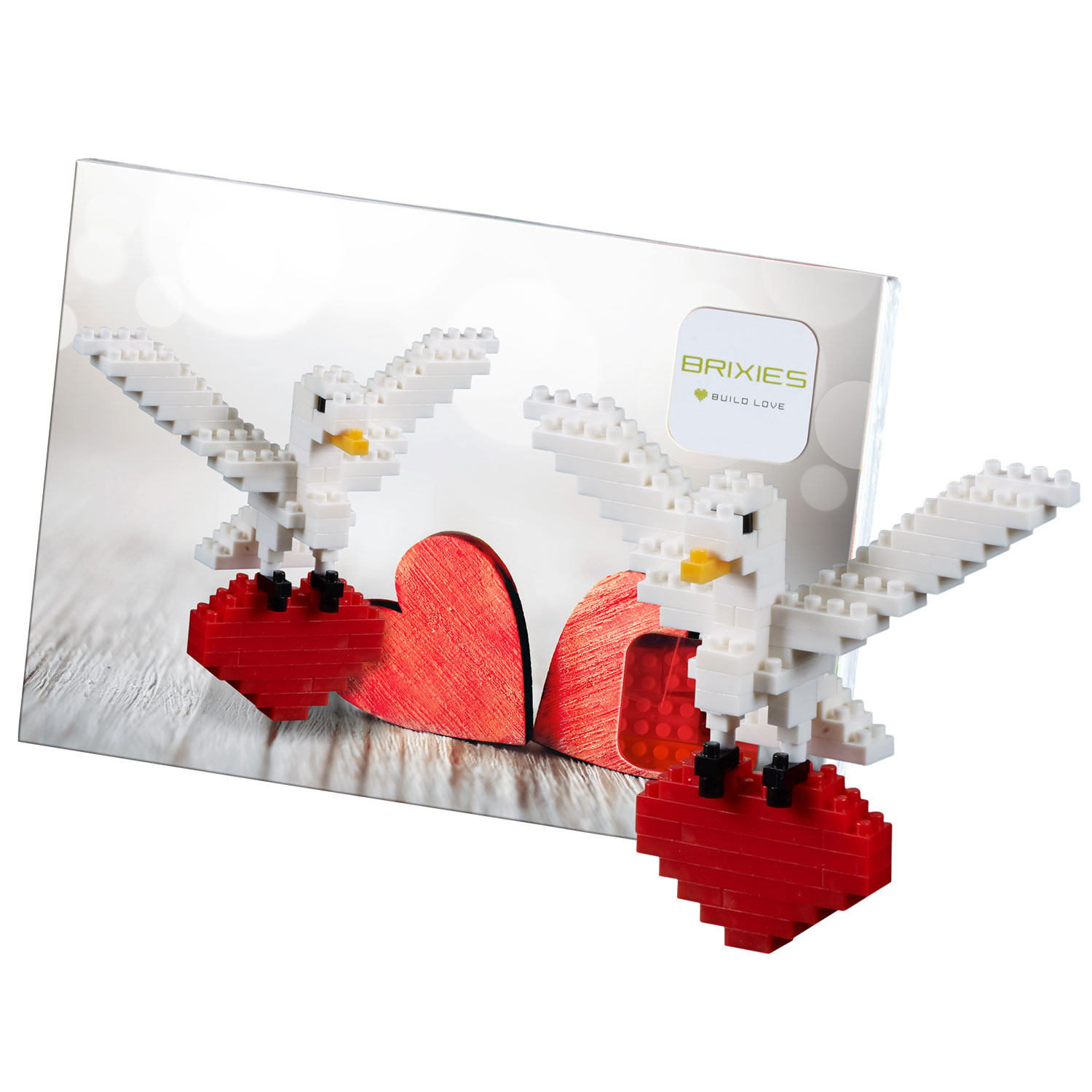 Brixies Postkarte Turteltaube