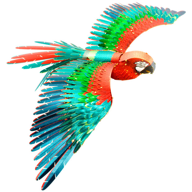 Premium Series Parrot