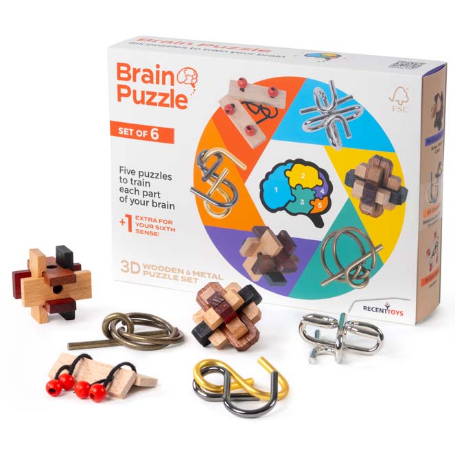 Brain Puzzle Set of 6