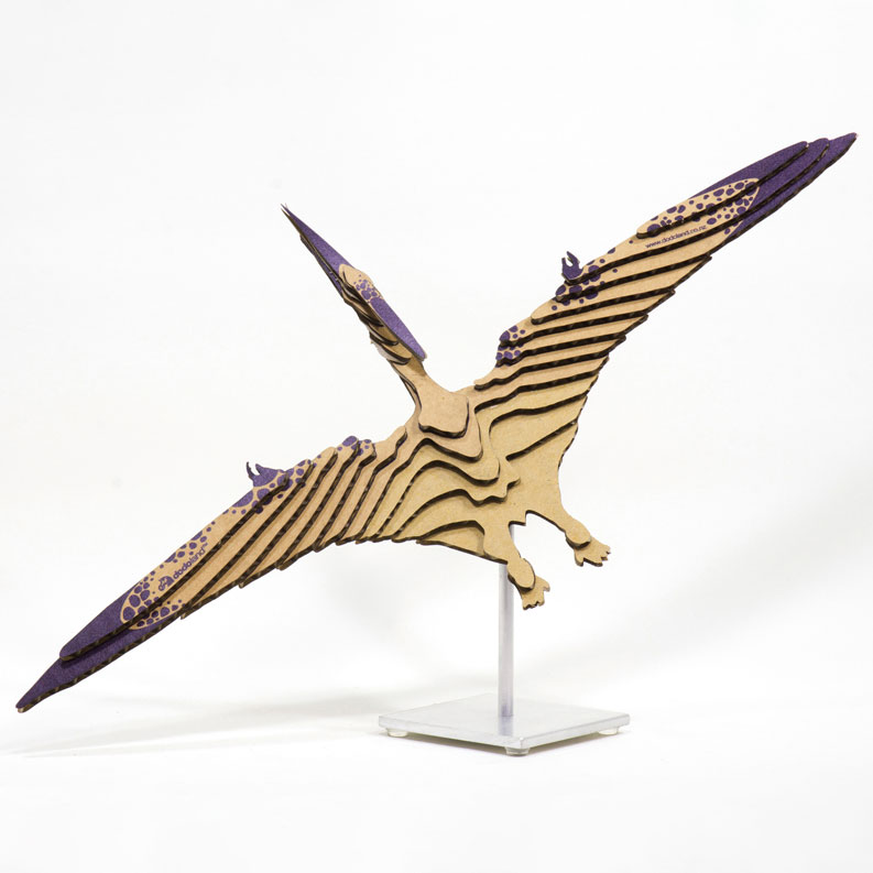 Dodoland Junior: Ptera