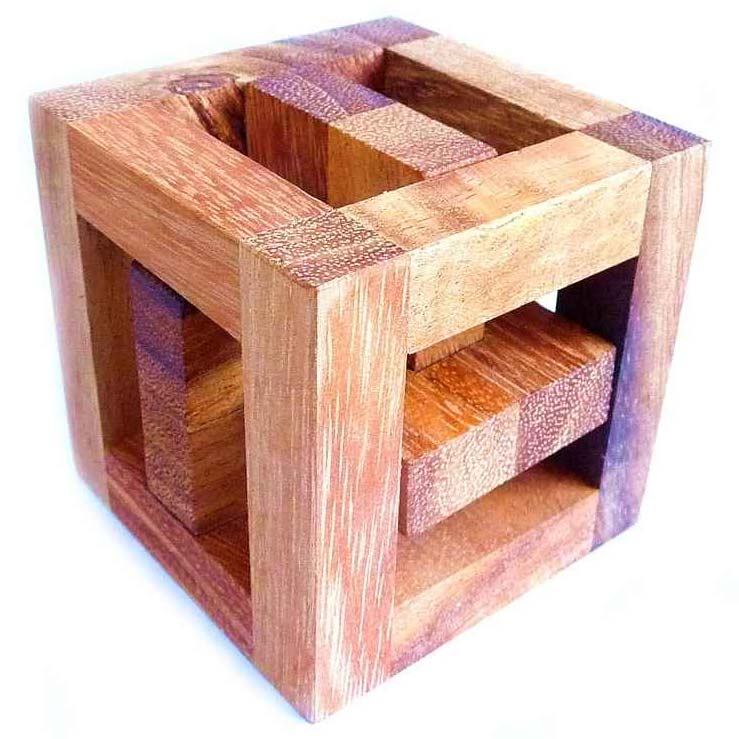 Leonardo's Mind Puzzles: Catch