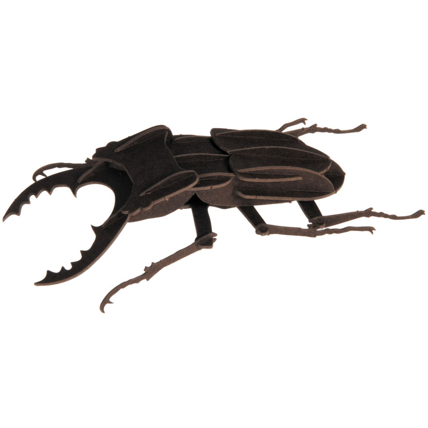 3D Papiermodell Hirschkäfer