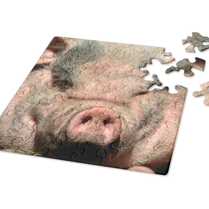 Puzzle Q "Animal-01: Schwein"