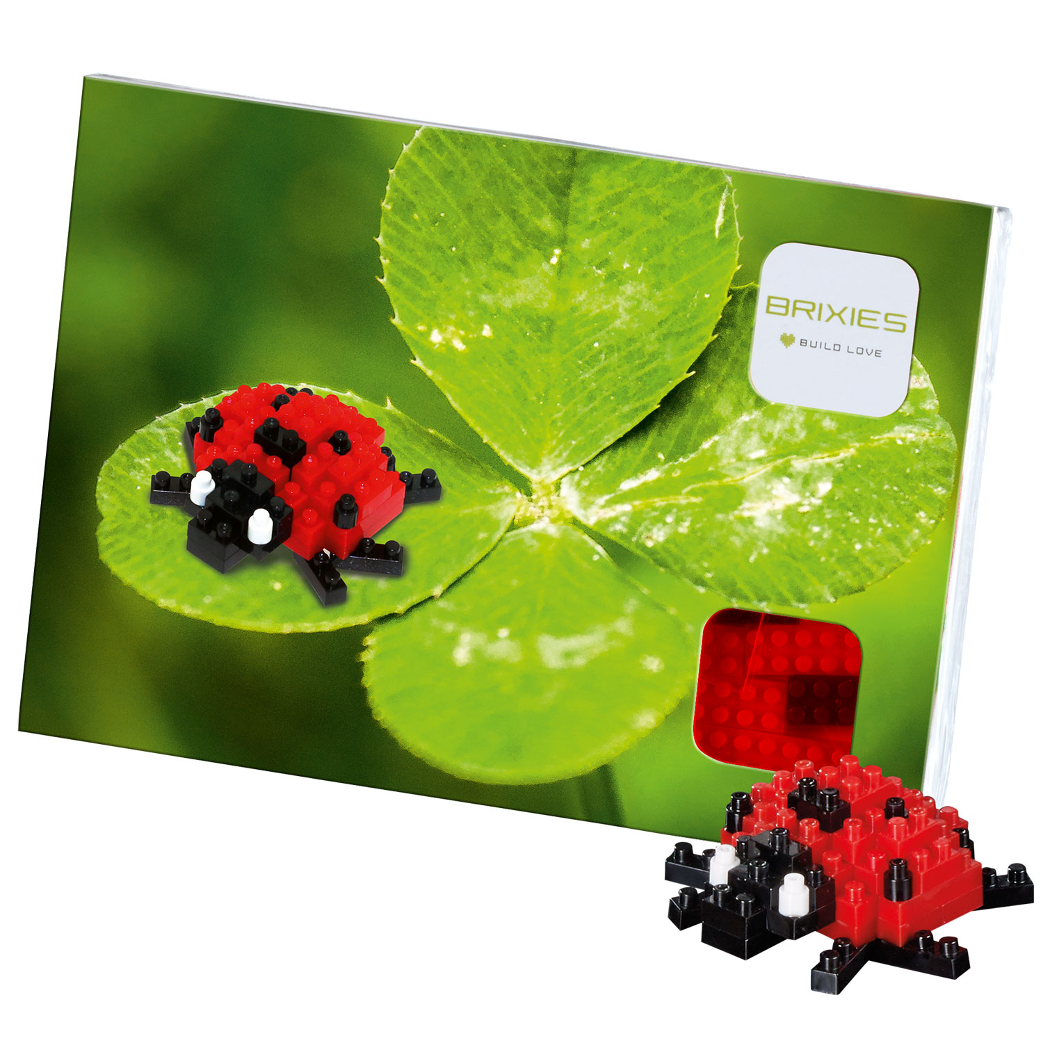 Brixies Postkarte Marienkäfer