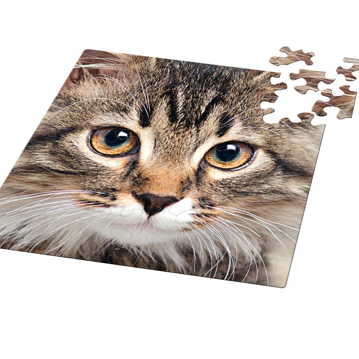 Puzzle Q "Animal-06: Katze"