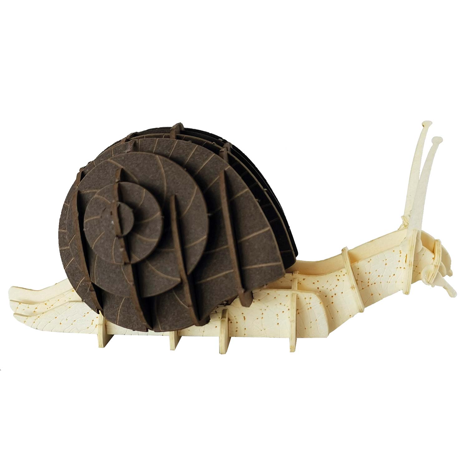 3D Papiermodell Schnecke