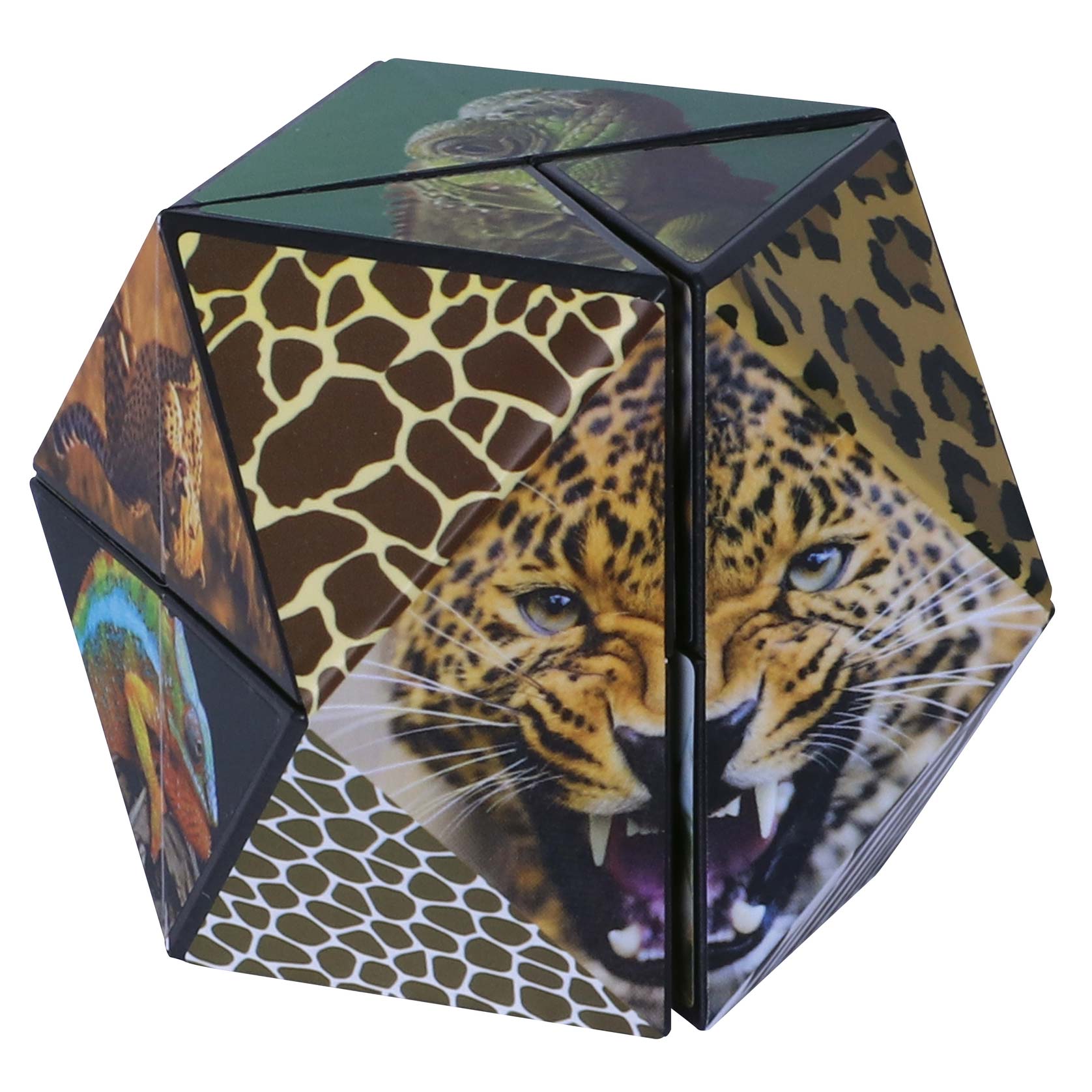 Magischer Würfel Wildtiere