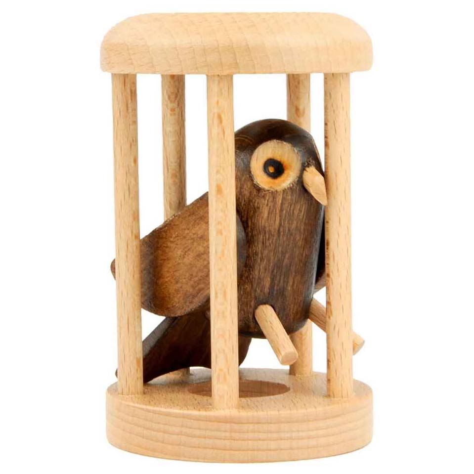 Owl in the Cage Puzzle